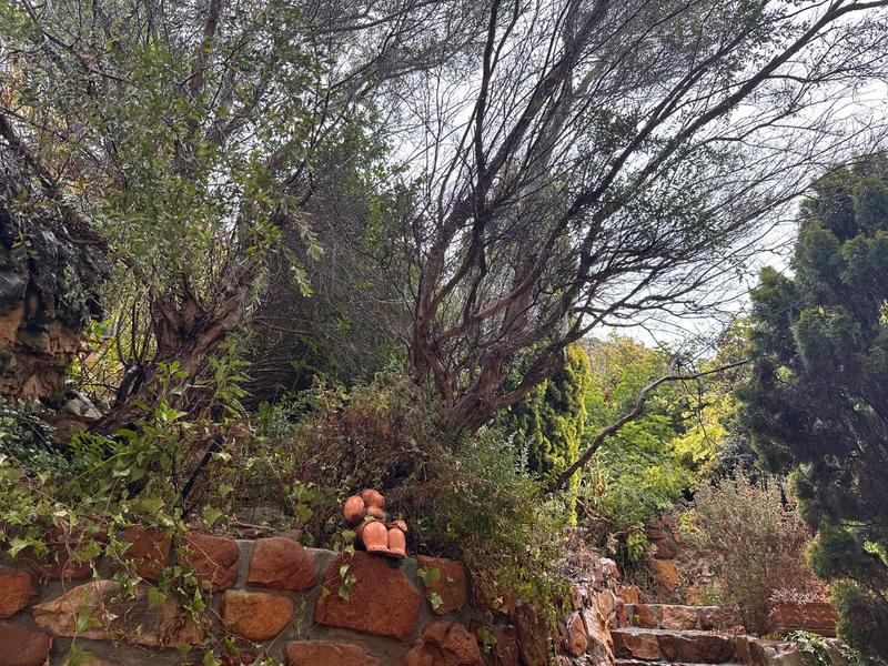 To Let 4 Bedroom Property for Rent in Fish Hoek Western Cape